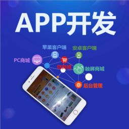 專業(yè)App開發(fā)如何實(shí)現(xiàn)效益快？軟件開發(fā)公司的選擇與策略
